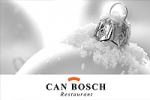 Can Bosch Can Bosch