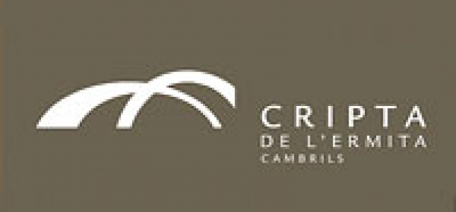 Paseo navideño de la Coral Verge del Camí. Paseo navideño de la Coral Verge del Camí.