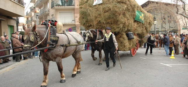 Cambrils cancela los actos populares de la Fiesta de San Antonio. Cambrils cancela los actos populares de la Fiesta de San Antonio.