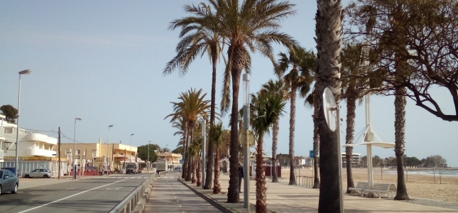 El Ayuntamiento de Cambrils planta 18 palmeras en el paseo marítimo. El Ayuntamiento de Cambrils planta 18 palmeras en el paseo marítimo.