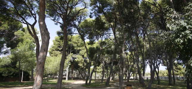 El Ayuntamiento de Cambrils propone tres rutas para pasear y hacer deporte al aire libre. El Ayuntamiento de Cambrils propone tres rutas para pasear y hacer deporte al aire libre.