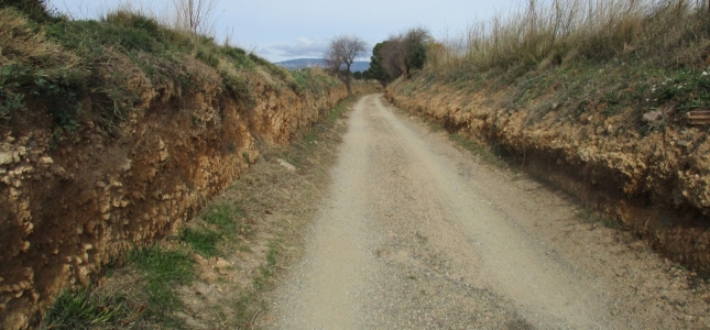 El Ayuntamiento de Cambrils inicia las obras de la última fase del Camino de Montbrió. El Ayuntamiento de Cambrils inicia las obras de la última fase del Camino de Montbrió.